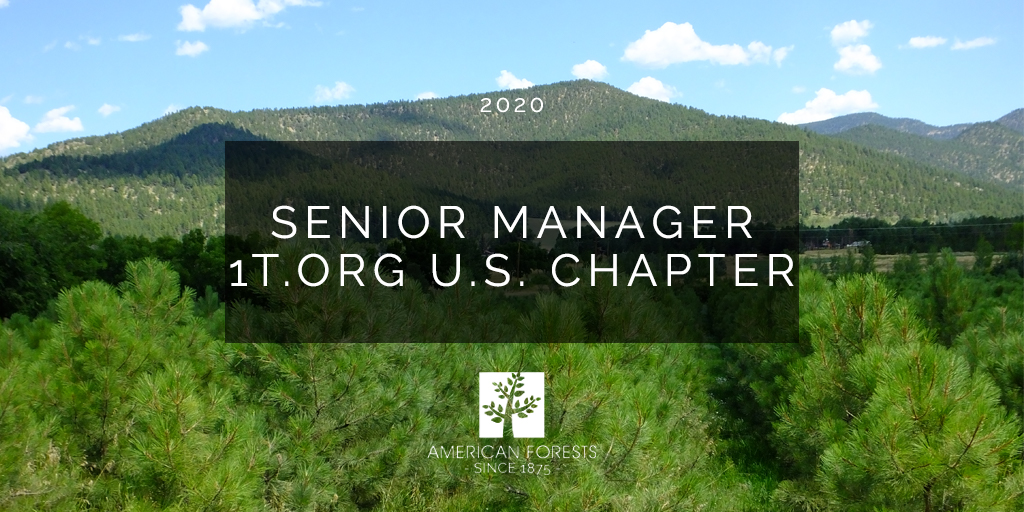 Job Posting: Senior Manager for 1t.org U.S. Chapter ...